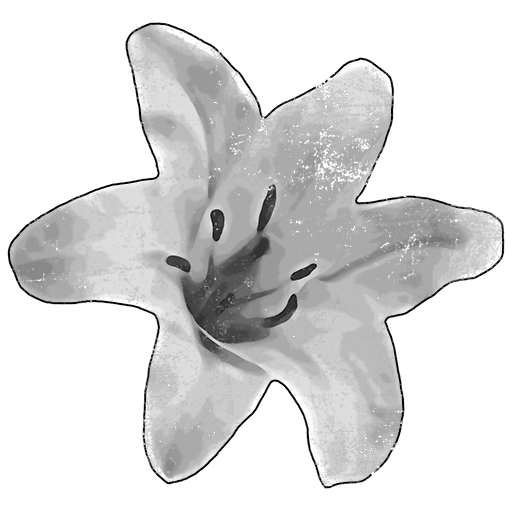 “White lily of Stalingrad